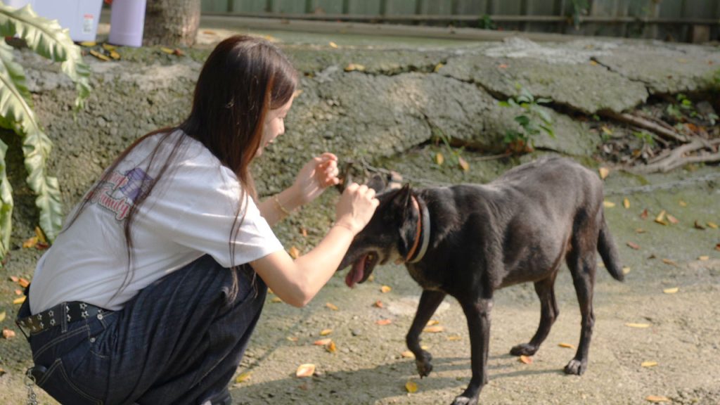 禾羽安撫狗狗。（圖／金盤子娛樂提供）